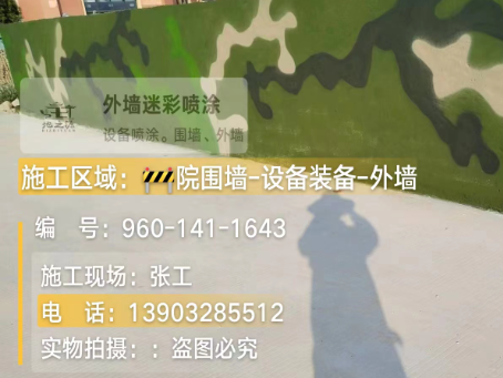 河北 迷彩漆喷涂价格(按平方米计费)